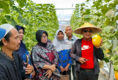 Kejar Nilai Ekonomis, Bupati Kubu Raya Ajak Warga Manfaatkan Pekarangan