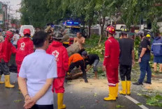 Cuaca Ekstrem di Pontianak, Pemkot Perketat Pemantauan Pohon Rawan Tumbang