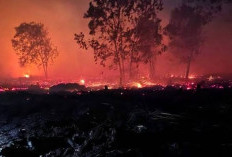 Hotspot Kalbar Sisa 20 Titik, BPBD Ungkap Sejumlah Wilayah Masih Jadi Perhatian