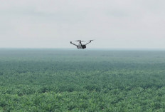Teknologi Drone Thermal untuk Mencegah Kebakaran di Perkebunan Luas