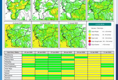 BMKG Kalbar Rilis Potensi Hujan Harian 5–11 Januari 2026