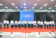 Ekosistem Baterai Karawang, Multiplier effect bagi Ekonomi Nasional