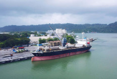 Pelindo Multi Terminal Tanjung Intan Perkuat Kinerja Operasional Pelabuhan