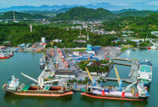 Sejumlah Komoditas Tumbuh Positif, Pelindo Multi Terminal Branch Lembar Catat kenaikan Produksi Semester I 202