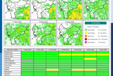 BMKG Kalbar Rilis Potensi Hujan Harian 13–19 Maret 2026