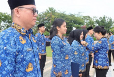 Yuk Kenali Perbedaan Seragam PNS, PPPK, dan PPPK Paruh Waktu 2026