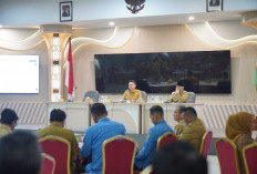 Dampak Kemarau Panjang, Pontianak Berbenah di Berbagai Sektor