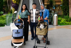 Main Bareng Anabul Di Grand Galaxy Park yang Cat Friendly