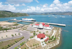 Dari Pelabuhan ke Rumah, Pelindo Multi Terminal Lembar Pastikan Setiap Penumpang Tetap Terhubung