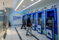 BRI Bukukan Kontribusi Pajak Terbesar di Industri Keuangan Indonesia, Dukung Pembangunan Nasional