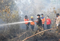 Titik Api Karhutla di Kubu Raya Meningkat, Bupati Sujiwo Pastikan Logistik Petugas Aman