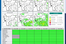 BMKG Kalbar Rilis Potensi Hujan Harian 22–28 Januari 2026