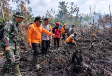 Karhutla Kalbar Menurun, BPBD Perkuat Pemantauan Titik Bekas Kebakaran