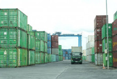 Pelindo Terminal Petikemas Tunjukkan Kinerja Positif di Tengah Gejolak Global