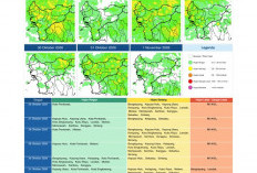 BMKG Kalbar Rilis Potensi Hujan Harian 26 Oktober–1 November 2026