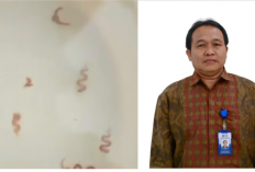 Heboh Cacing Muncul di Sungai Kapuas Pontianak Bukan Pencemaran, Ini Kata Pakar