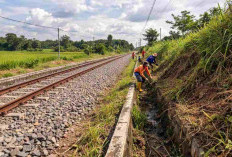 Antisipasi Cuaca Ekstrem, KAI Daop 9 Jember Perkuat Infrastruktur dan Siagakan Petugas Ekstra