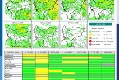 BMKG Kalbar Rilis Potensi Hujan Harian 22–28 Februari 2026