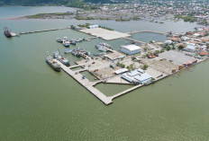 Pelindo Multi Terminal Catat Kinerja Positif Pelabuhan Bima – Badas Sepanjang 2025