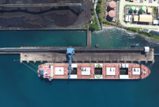 Fitch Menaikkan Asumsi Harga Komoditas, Ini Prospeknya