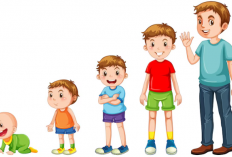 Pertumbuhan Anak Terhambat: Dari Masalah ke Solusi Sehat