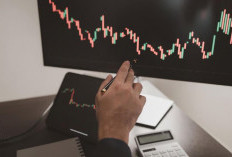 Midweek Volatility: Strategi Aman Menghadapi Rilis Data Ekonomi Berdampak Tinggi