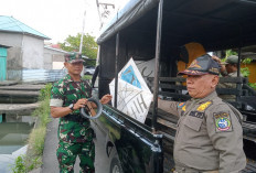 Razia Layangan di Pontianak, Satpol PP Sita 16 Layangan dan Gelondongan Benang