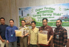 Ekspor Perdana 103 Kg Sarang Burung Walet Kalbar ke Singapura Bernilai Rp1,3 Miliar