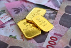Update Harga Emas Hari Kamis 5 Februari 2026: Antam, UBS, dan Galeri24 Naik di Pegadaian