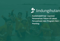 LindungiHutan Hadirkan SustainabiliTree sebagai Solusi Lingkungan yang Lebih Relevan