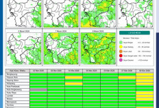 BMKG Kalbar Rilis Potensi Hujan Harian 2–8 Maret 2026