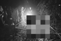 Pria Ditemukan Meninggal Dunia di Area Perkebunan Sawit, Polisi Lakukan Penyelidikan