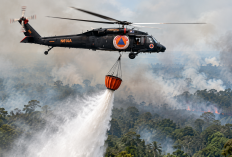 Medan Sulit, Pemprov Siapkan Dukungan Water Bombing untuk Padamkan Karhutla Kayong Utara