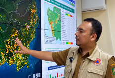 94 Laporan Karhutla sudah Ditangani, BPBD Kalbar Tetap Waspadai Potensi Api Kembali Muncul