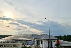 Holding Perkebunan Nusantara Dorong EBT, PTPN IV Regional III Resmikan PTBg Sei Rokan