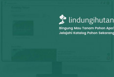LindungiHutan Hadirkan Fitur Katalog Pohon untuk Permudah Publik dan Perusahaan Dukung Kampanye Lingkungan