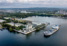 Dukung Hilirisasi Sawit, Pelindo Multi Terminal Fasilitasi Ekspor CPO Aceh ke India