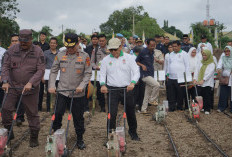 Dukung Ketahanan Pangan, Holding Perkebunan Nusantara Lewat PalmCo Perkuat Kemitraan Petani di Jambi