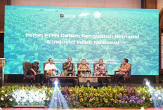 Holding Perkebunan Nusantara Dorong Hilirisasi Sawit, PalmCo Serap 6,8 Juta Bibit Bersertifikat