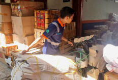 Tumbuh 17 Persen, Kinerja Angkutan Retail KAI Logistik Sepanjang Semester I 2026 Semakin Positif