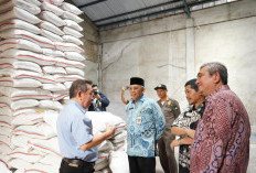 Satgas Ketahanan Pangan Pontianak Pantau Pasar, Harga dan Stok Terpantau Stabil