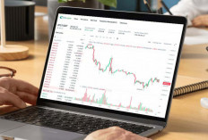 OJK Nilai Pelemahan Kripto Masih Wajar, Tokocrypto Soroti Peluang Bangkit