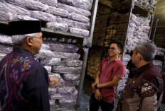 Satgas Ketahanan Pangan Pastikan Stok Pangan Kota Pontianak Aman