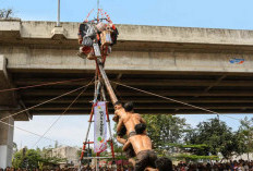 Semarak HUT ke-81 RI, Adapundi Turut Meriahkan Panjat Pinang Kalimalang 2026