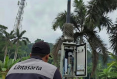 Lintasarta Perkuat Kolaborasi dengan Starlink untuk Pemerataan Akses Digital Nasional
