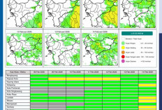 BMKG Kalbar Rilis Potensi Hujan Harian 8–14 Februari 2026: Intensitas Ringan hingga Sedang Dominasi Sepekan
