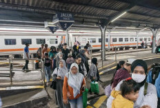 KA Pandanwangi Tembus 1,15 Juta Penumpang di 2025, Andalan Mobilitas Wisata Tapal Kuda