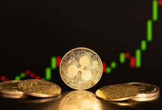 Resmi Hadir! ETF Spot XRP Diluncurkan dengan Volume Transaksi yang Fantastis!