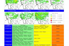 BMKG Kalbar Rilis Potensi Hujan Harian 6–12 Oktober 2026