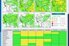 BMKG Kalbar Rilis Potensi Hujan Harian 6–12 Maret 2026